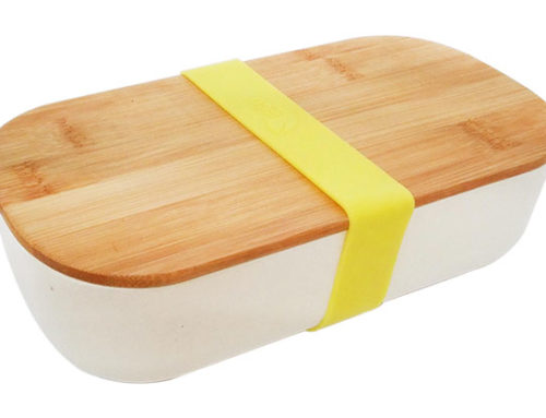 Healthy Eco Lunch Bento Box With Silicone Lid